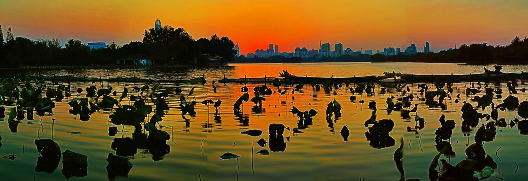 夕阳映照下的大明湖