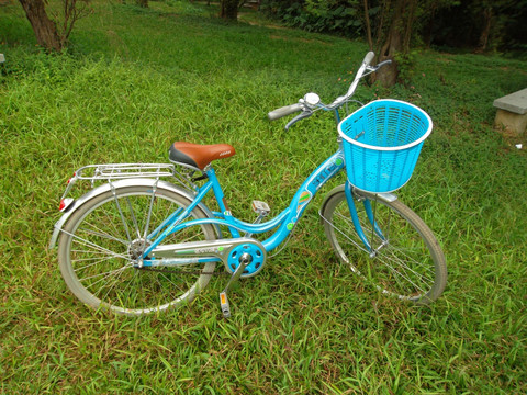 草坪上的自行车