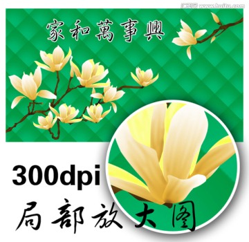 玉蘭 壁紙壁畫
