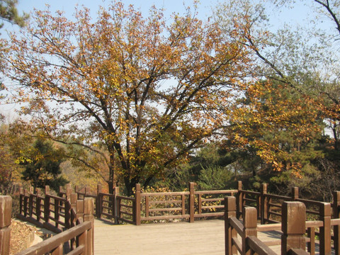 山路