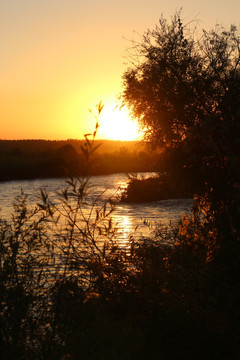 河边金色夕阳
