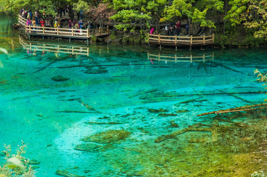 九寨沟旅游 五花海