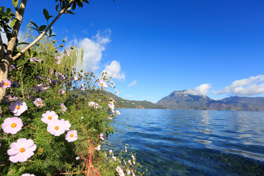 泸沽湖