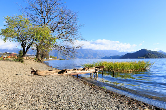 泸沽湖河岸