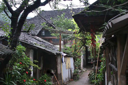 都江堰 古迹 街景 李冰