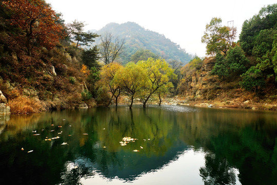 泰山风光