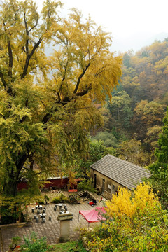 泰山玉泉寺风光