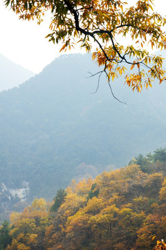 秋天的泰山山脉