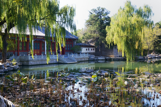 清华大学水木清华建筑