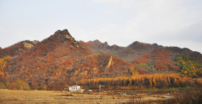 水墨 风格 大山 黑白 水彩