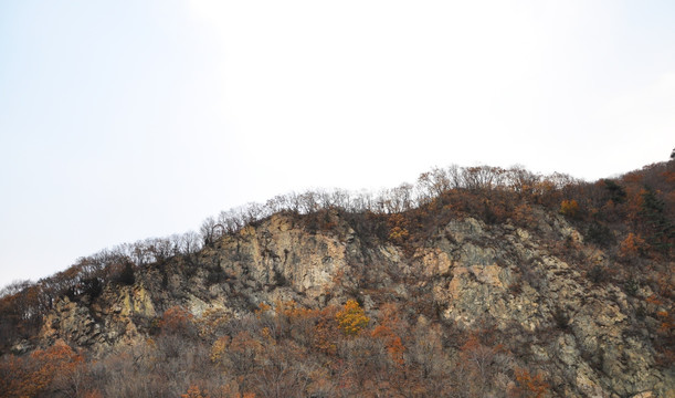 水墨 风格 大山 黑白 水彩