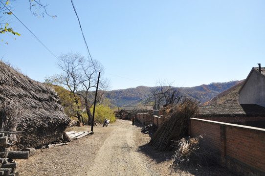 长白山 村庄 农村 田野 山