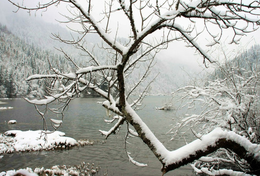 四川 九寨沟 雪景