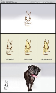 潮流八哥犬logo设计