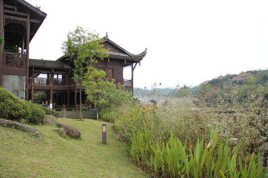 庭院