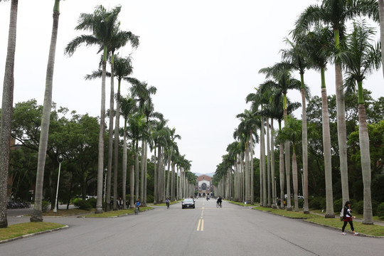 国立台湾大学