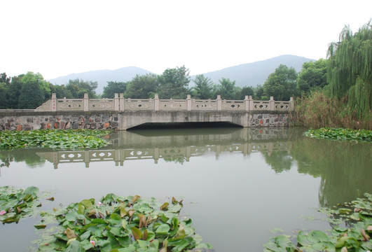 江南大学 校园 江南风情