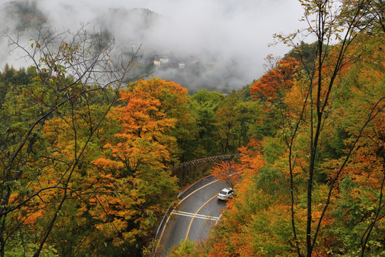 神龙架大九湖 山水景区 金秋