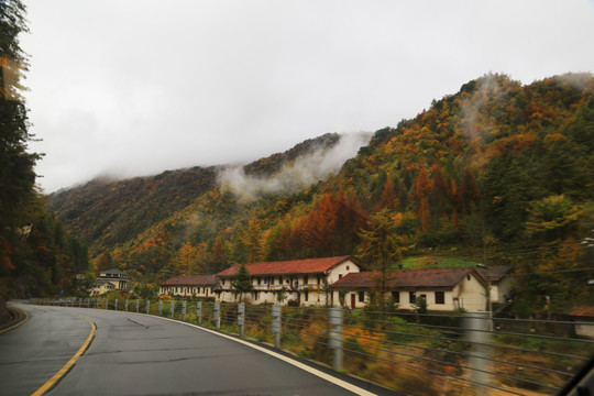 神龙架大九湖 山水景区 金秋