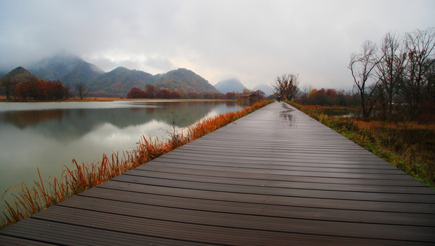 神龙架大九湖 山水景区 金秋