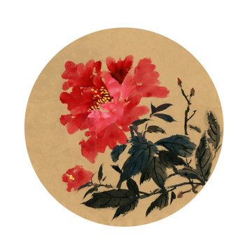 花開(kāi)富貴 牡丹花