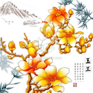 玉蘭花