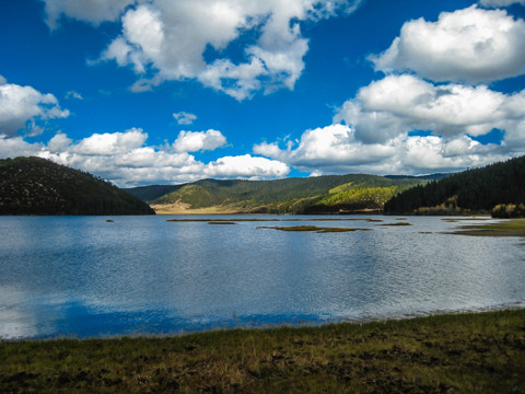 香格里拉碧塔海 高原湖泊