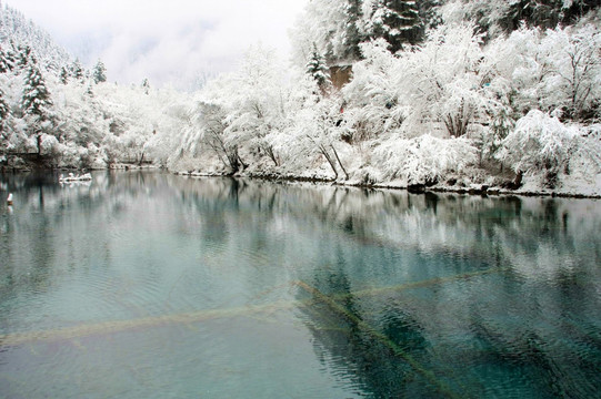 四川 九寨沟 雪景