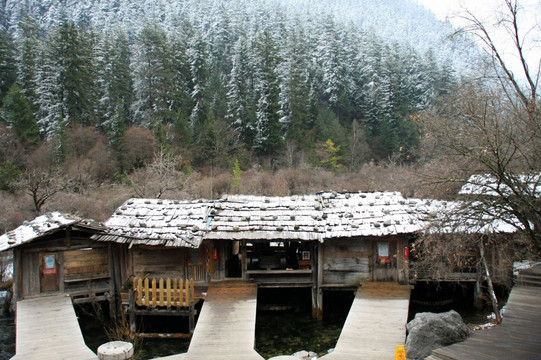 四川 九寨沟 雪景