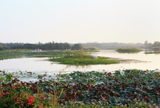 湿地公园