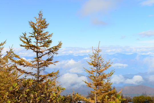 日本富士山