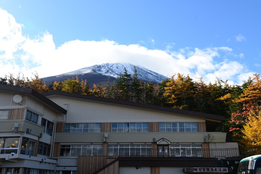 日本富士山