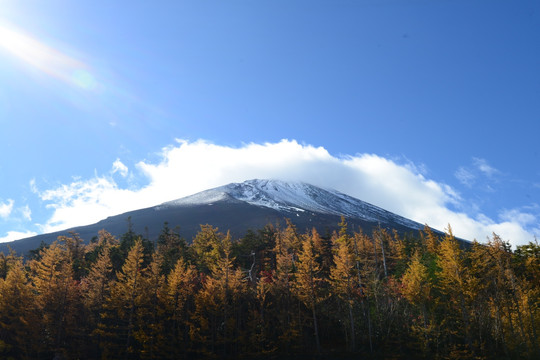 日本富士山