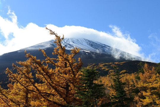 富士山景区