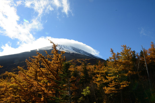 富士山景区