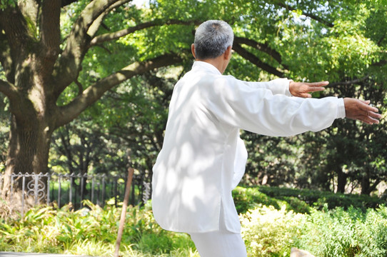 太极 师傅 晨练 锻炼 健康