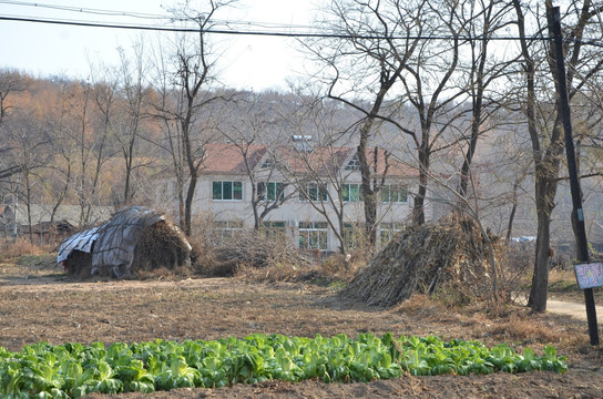 东北农村