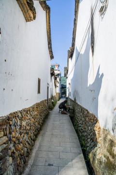 乡村场景