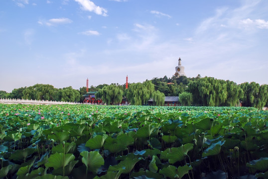 北京北海公园