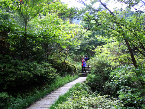 山间小路