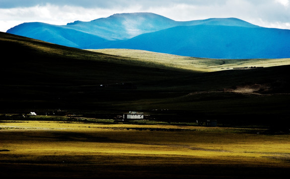 西藏草原风光