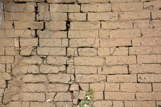 泥土做的砖墙