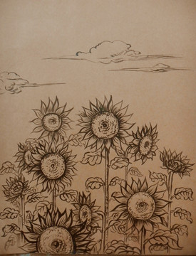 手繪向日葵插圖