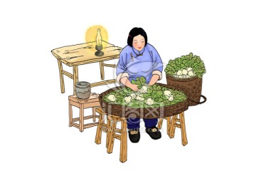 大頭菜插圖