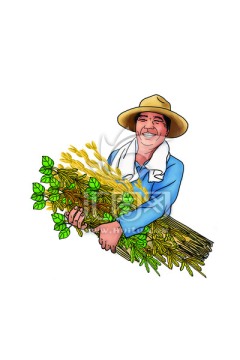 豐收