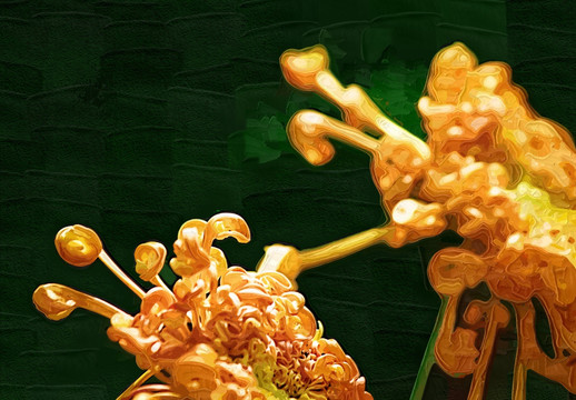 秋菊 花卉油畫 裝飾畫 無框畫