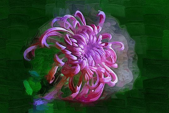秋菊 花卉油畫 裝飾畫 無(wú)框畫