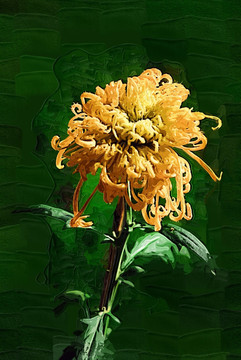 秋菊 花卉油畫 裝飾畫 無框畫