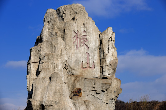 野生动物世界猴山