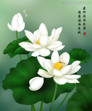 愛蓮說
